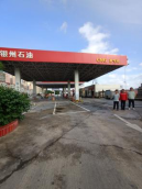 1698376302170334.jpg 1698376339233(1).jpg